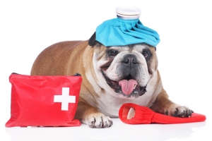 BURSA - NİLÜFER Acil Müdahaleler ve Acil Servis